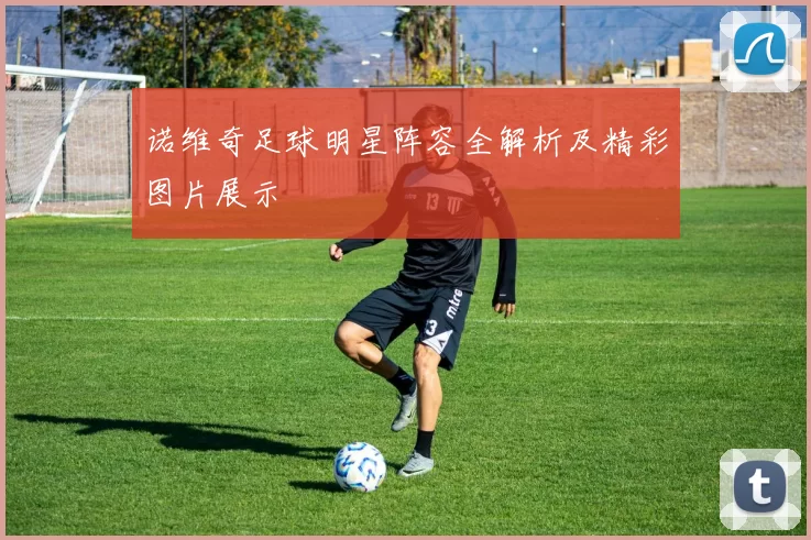 诺维奇足球明星阵容全解析及精彩图片展示
