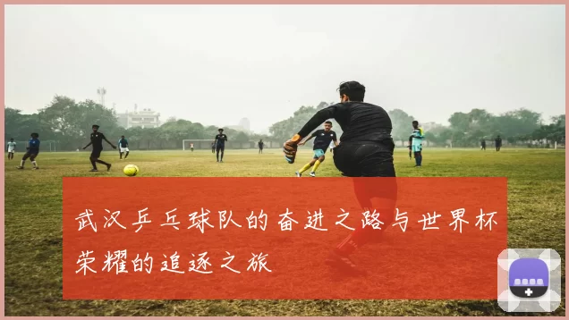 武汉乒乓球队的奋进之路与世界杯荣耀的追逐之旅