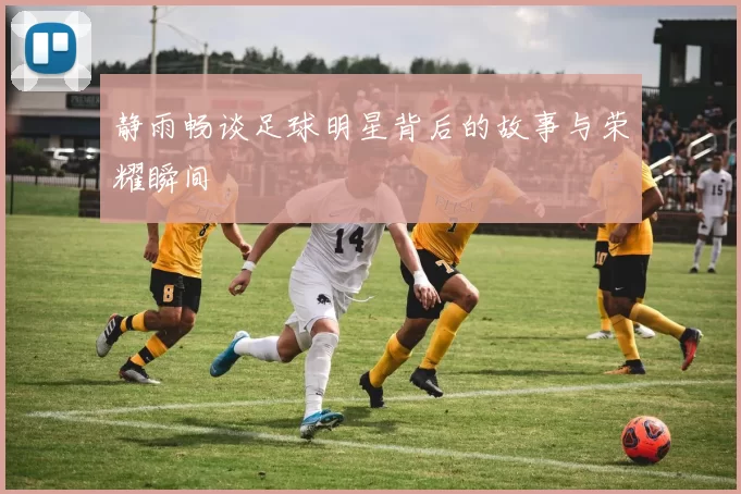 静雨畅谈足球明星背后的故事与荣耀瞬间