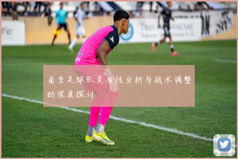 南京足球队灵活性分析与战术调整的深度探讨