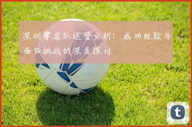 深圳攀岩队运营分析：成功经验与面临挑战的深度探讨