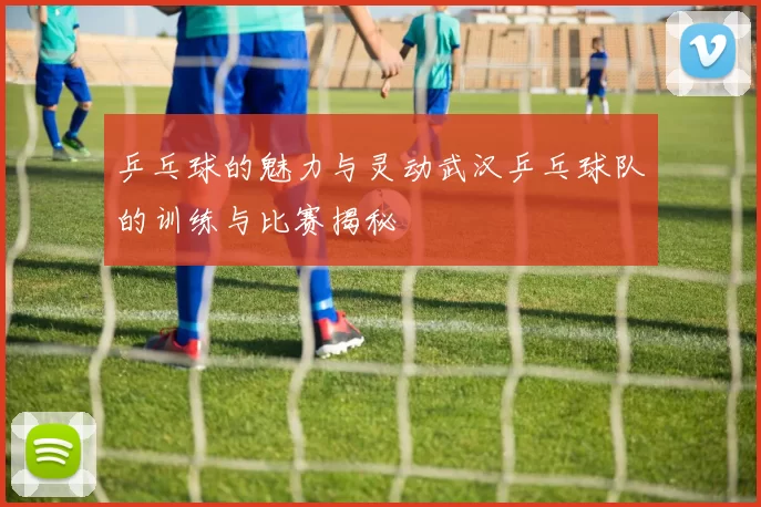 乒乓球的魅力与灵动武汉乒乓球队的训练与比赛揭秘