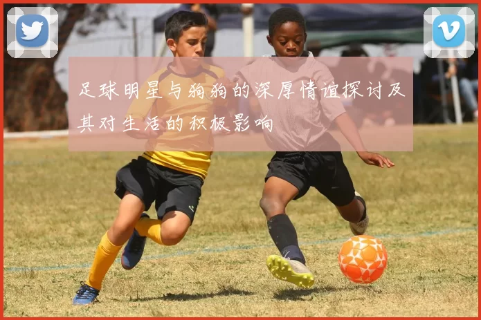 足球明星与狗狗的深厚情谊探讨及其对生活的积极影响