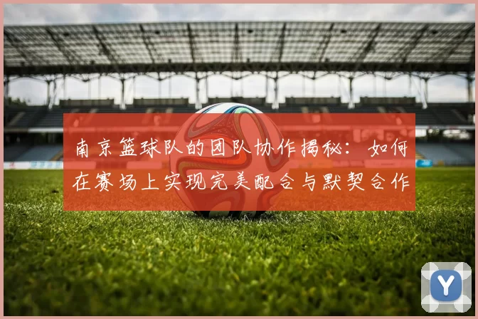 南京篮球队的团队协作揭秘：如何在赛场上实现完美配合与默契合作