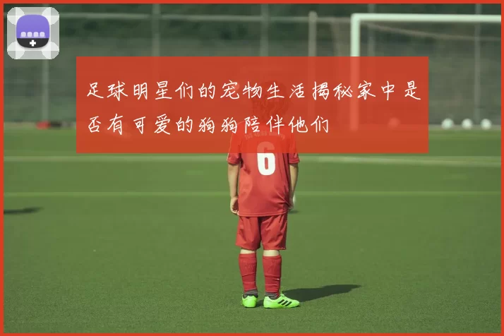 足球明星们的宠物生活揭秘家中是否有可爱的狗狗陪伴他们