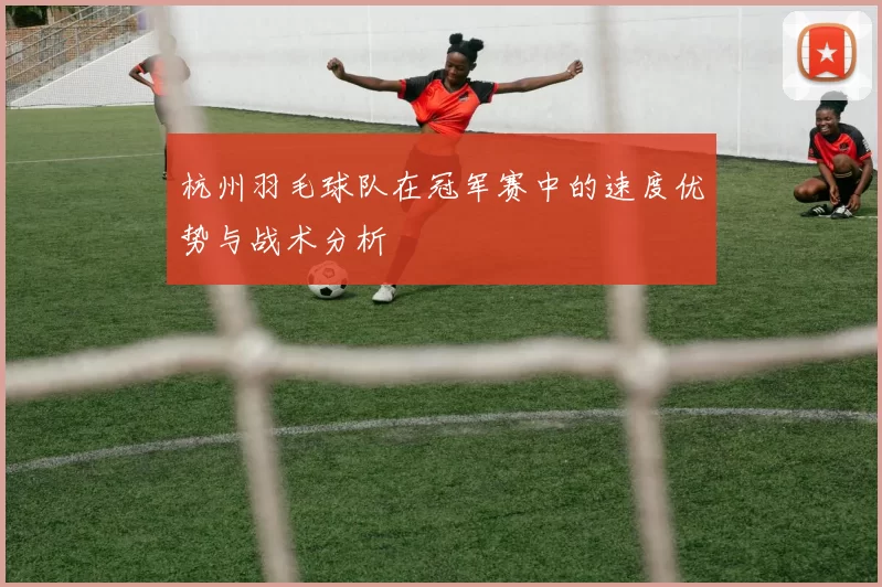 杭州羽毛球队在冠军赛中的速度优势与战术分析