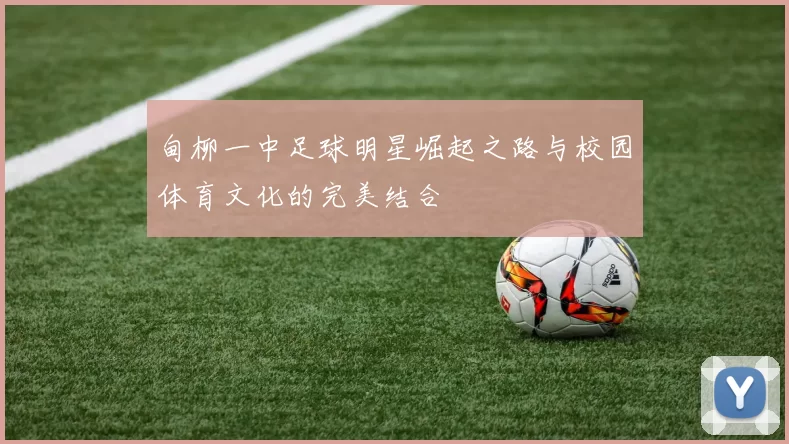 甸柳一中足球明星崛起之路与校园体育文化的完美结合