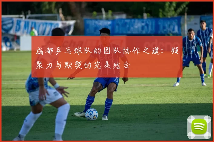 成都乒乓球队的团队协作之道：凝聚力与默契的完美结合