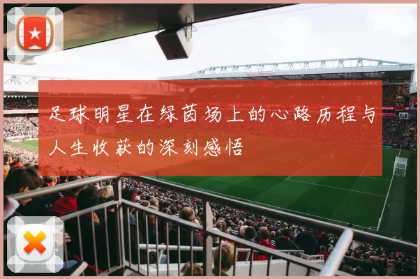 足球明星在绿茵场上的心路历程与人生收获的深刻感悟