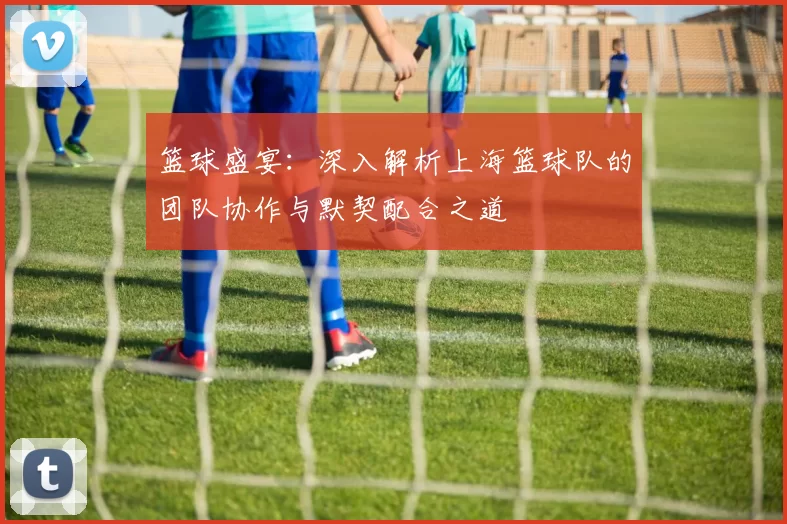 篮球盛宴：深入解析上海篮球队的团队协作与默契配合之道