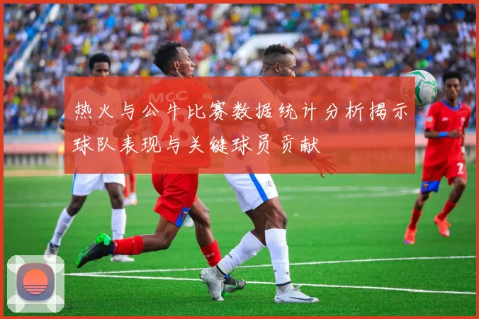 热火与公牛比赛数据统计分析揭示球队表现与关键球员贡献