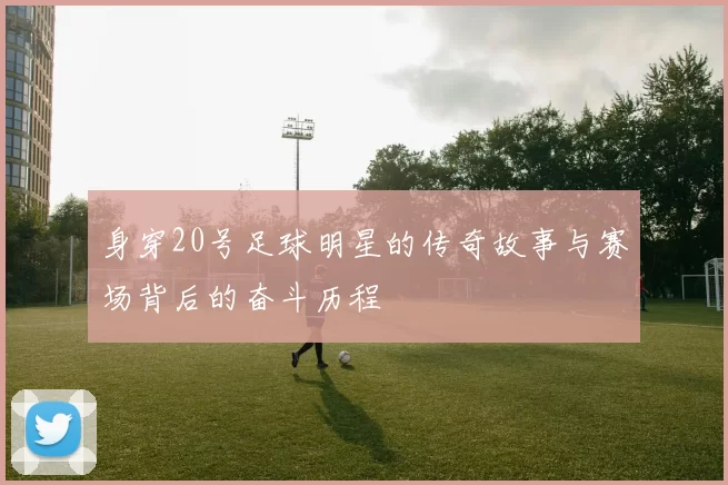 身穿20号足球明星的传奇故事与赛场背后的奋斗历程