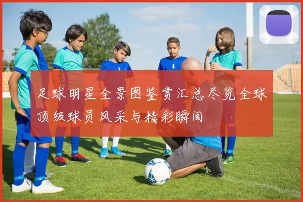 足球明星全景图鉴赏汇总尽览全球顶级球员风采与精彩瞬间