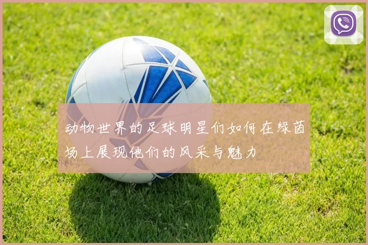 动物世界的足球明星们如何在绿茵场上展现他们的风采与魅力
